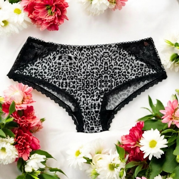 🆕Christian Lacroix Hipster  Culotte Panties - Picture 1 of 15
